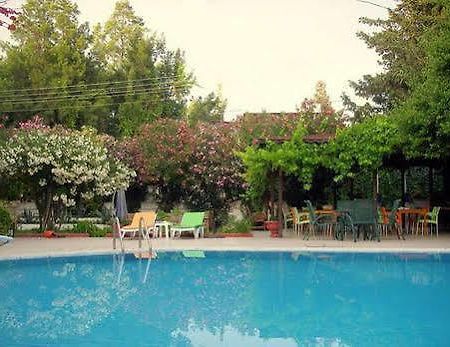 Bitez Otel Bodrum Dış mekan fotoğraf
